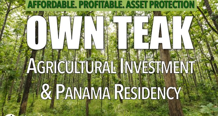 Panama teak investment