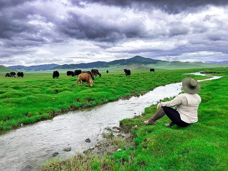 The Mongolian countryside