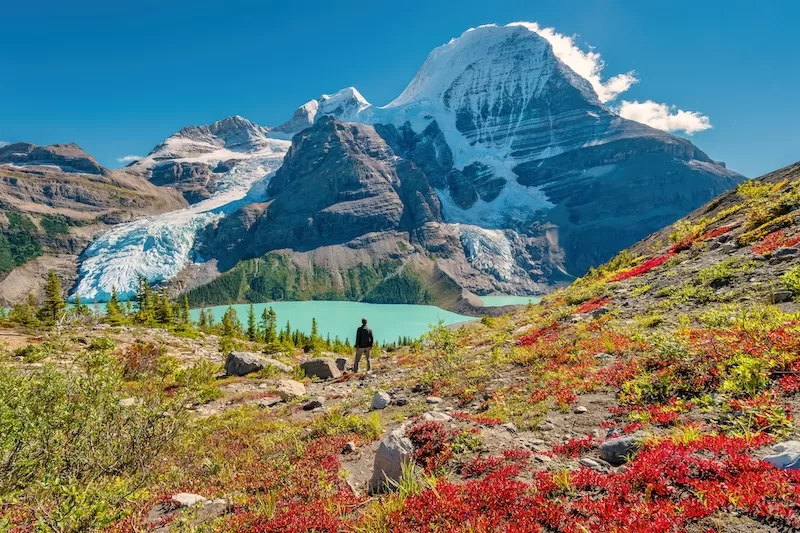 A hiker admires the view of Mount Robson on a sunny fall afternoon, British Columbia, Canada.