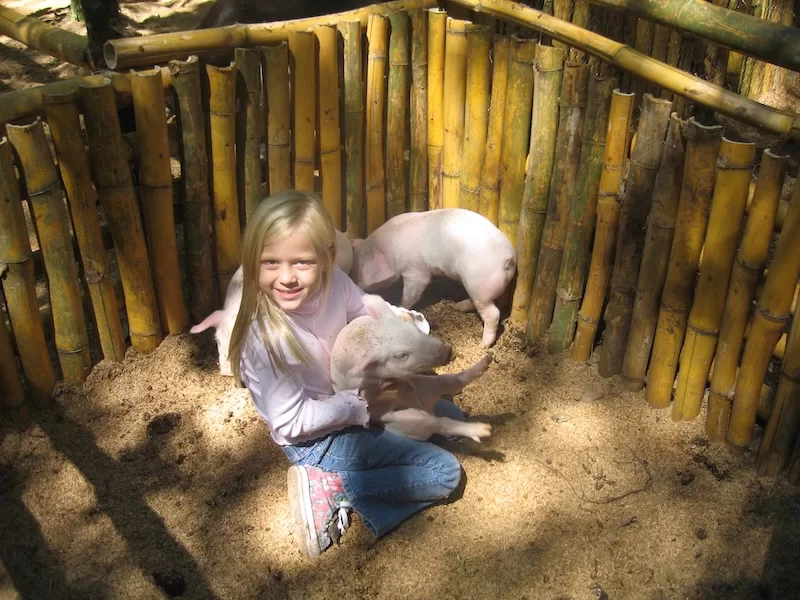 Amanda and Raquel visiting the baby piglets in the Farm