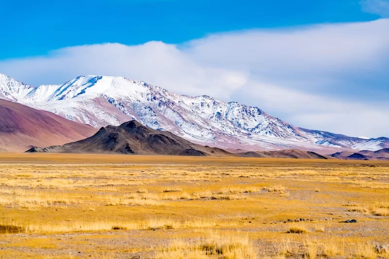 A fall afternoon on the large yellow steppe in Ulgii, western Mongolia.