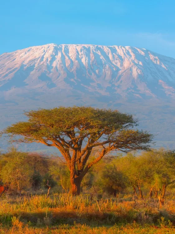 The Challenge of Kilimanjaro