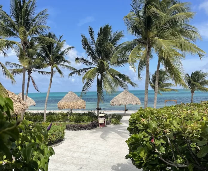 The beautiful beaches on Ambergris Caye. All photos courtesy of the author.