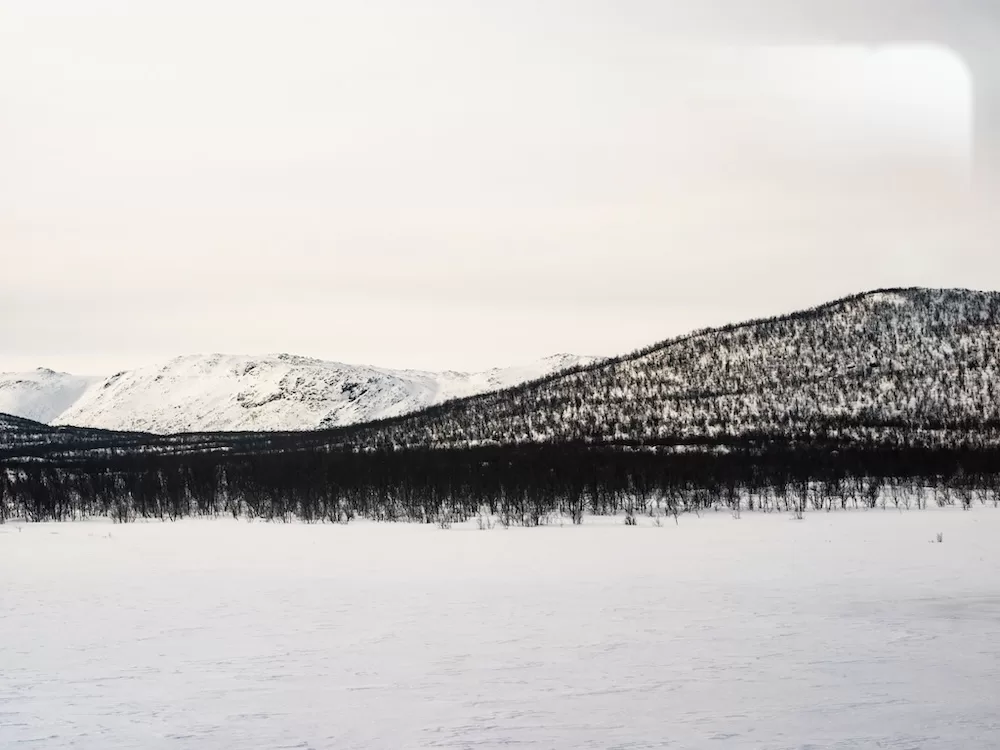 The Norwegian countryside. All photos courtesy of Marc Sethi.