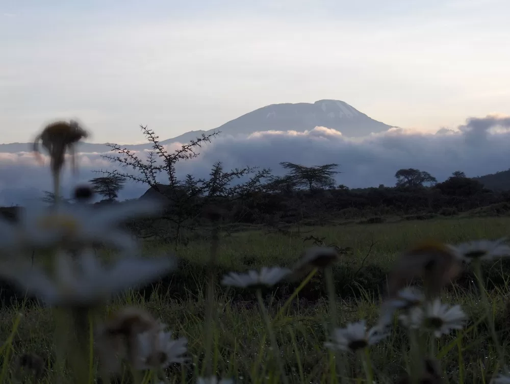 The Challenge of Kilimanjaro