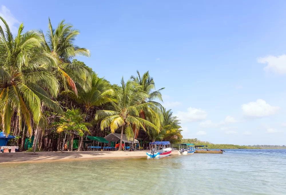 Starfish beach, Bocas del Toro, Panama.