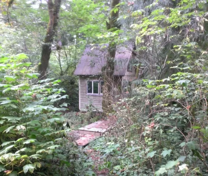 The cabin, as seen from the road, shortly after buying it.