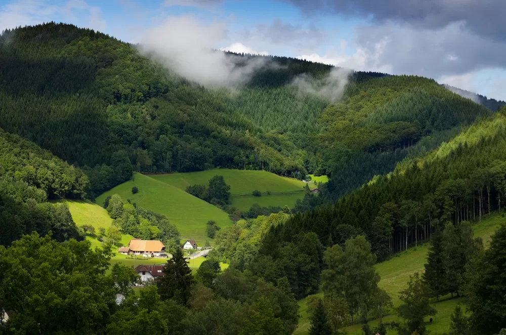 The Black Forest area of Germany.