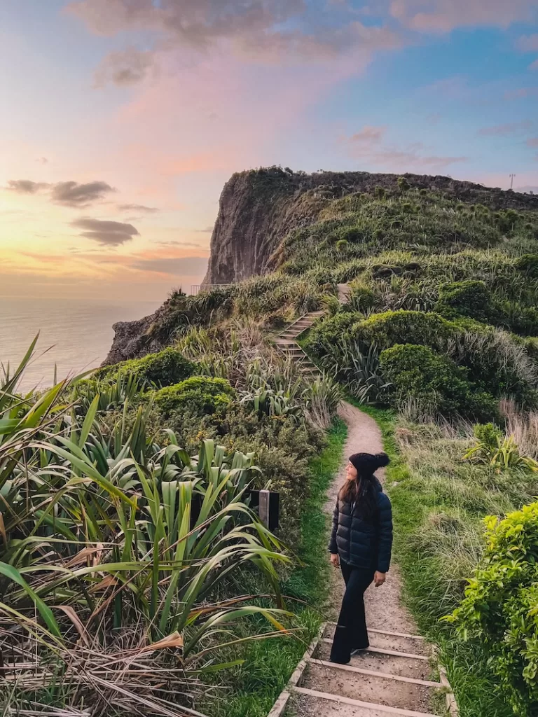 Mercer Bay Loop Walk, Auckland, New Zealand.